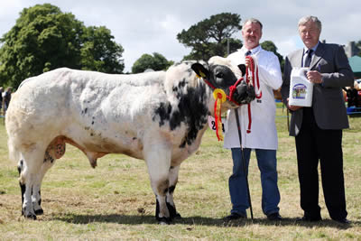James Annett, Kilkeel owned the Reserve overall in the final of the Osmonds/ NI Blue Club Bull Derby and he is pictured receiving a presentation from Ivan Porter, Osmonds.